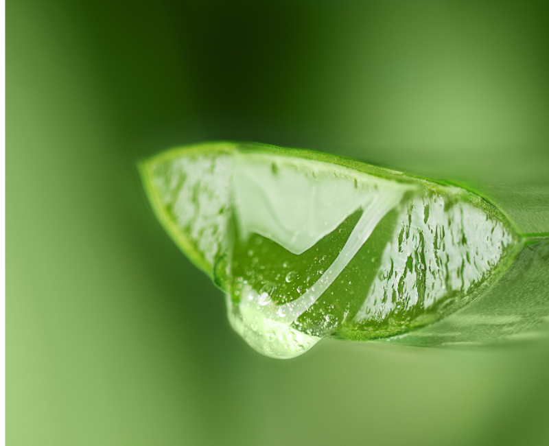 Naturopathie fonctionnelle à Béziers ou à domicile